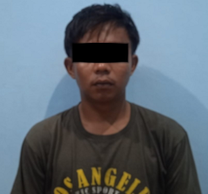 Cabuli Anak di Bawah Umur, Polres Way Kanan Amankan Pelaku